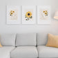 Hello Sunshine Sunflowers 3 Piece Wall Art